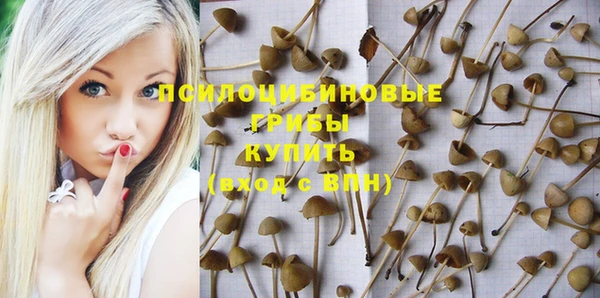 прущая мука Вязники