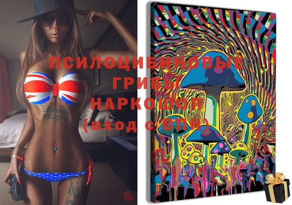 прущая мука Вязники