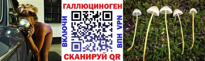Псилоцибиновые грибы прущие грибы  Северодвинск 